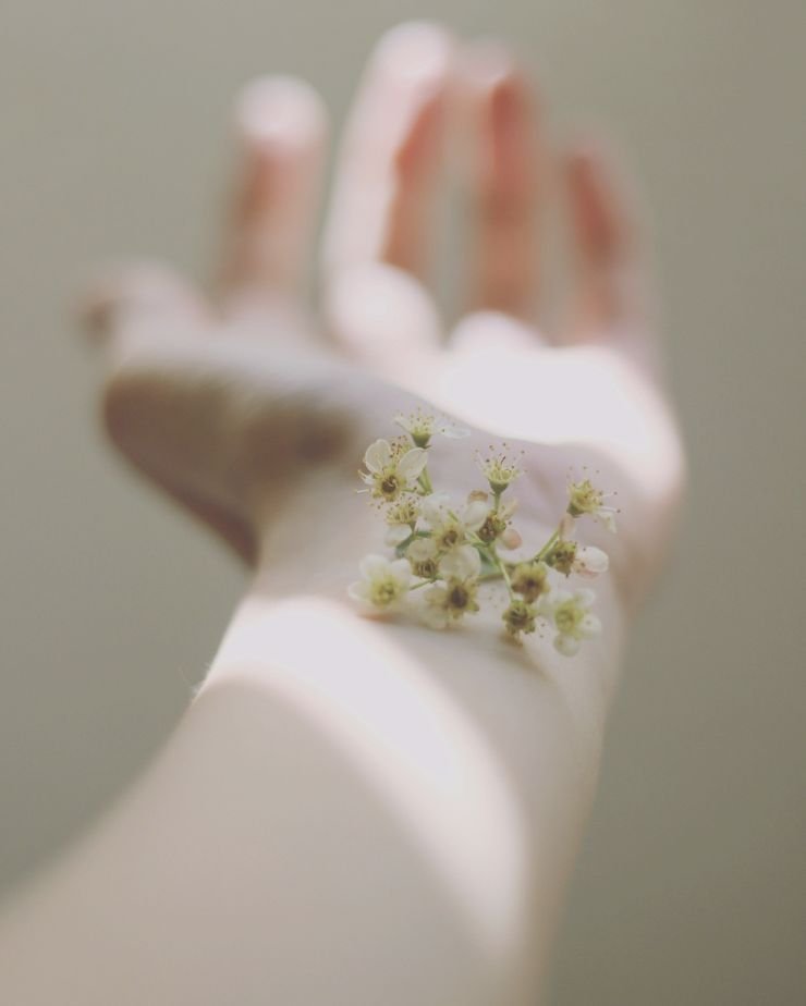 A hand holding delicate flowers