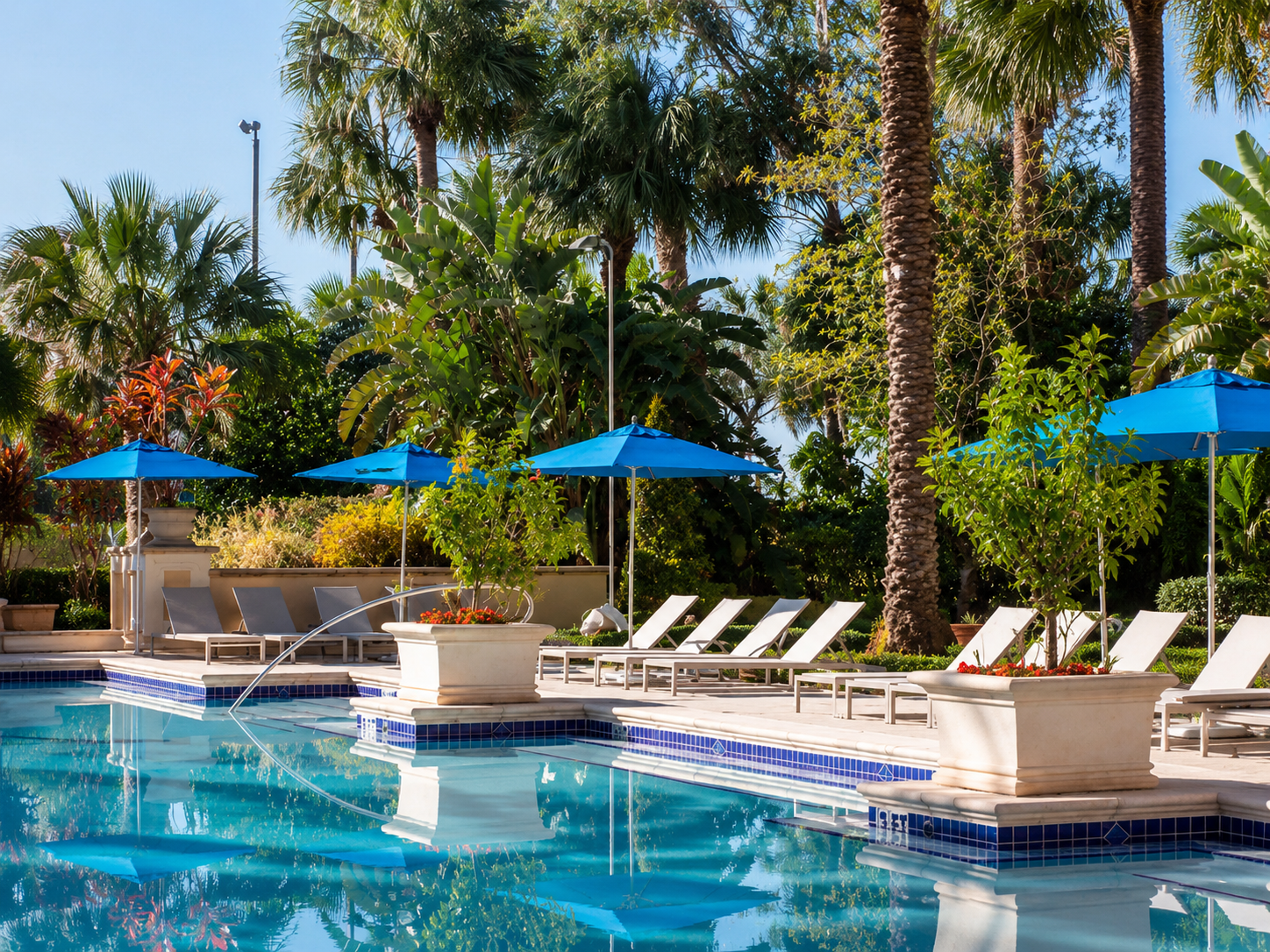 Pool seating surrounded by palms